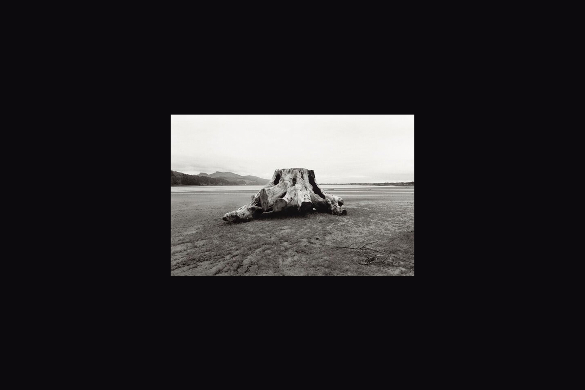 Photography of Robert Adams